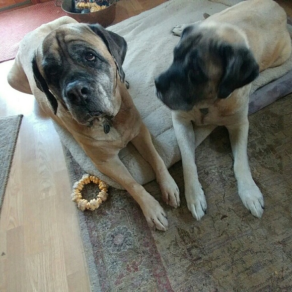 Meet your Posher, Maryann - Picture 4 of 4